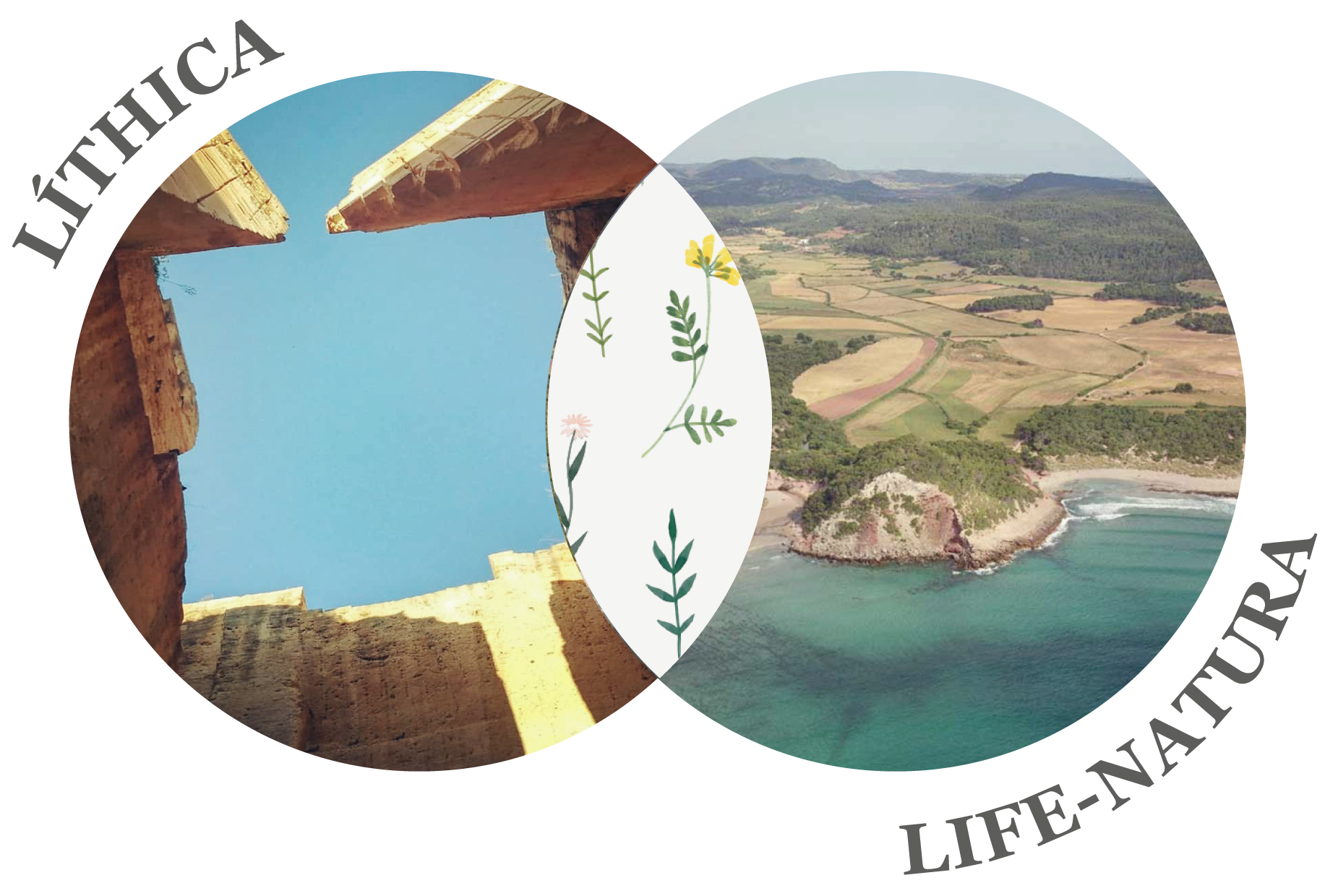 logo lithica y life natura